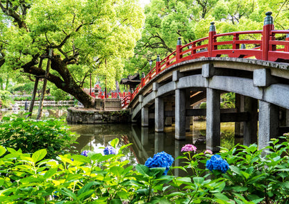 1-Day Culture Experience Tour: Dazaifu Stroll & Yanagawa River Cruise
