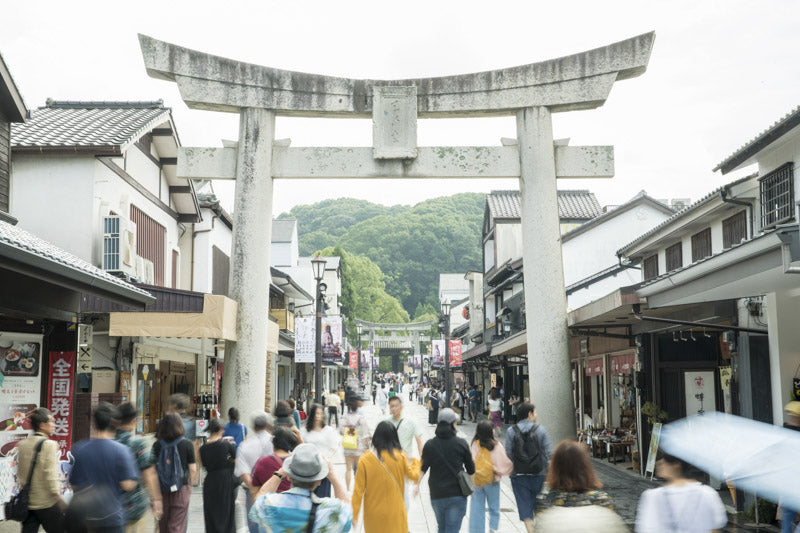 1-Day Culture Experience Tour: Dazaifu Stroll & Yanagawa River Cruise