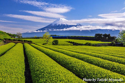 Shizuoka & Tokyo Luxury Escape