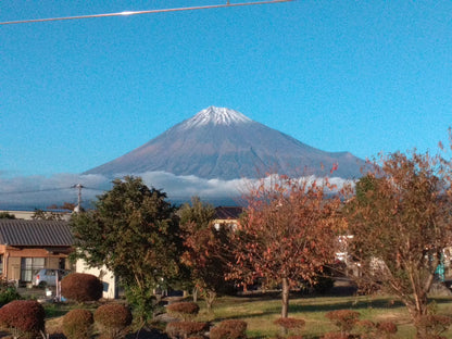 Mt. Fuji & Shizuoka Wasabi Farm Tour