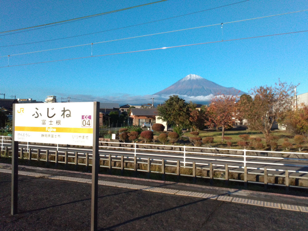 Mt. Fuji & Shizuoka Wasabi Farm Tour