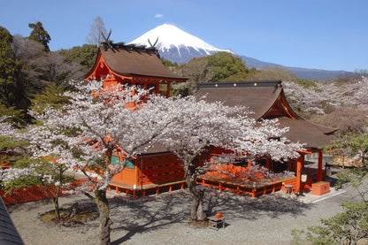 Mt. Fuji & Shizuoka Wasabi Farm Tour