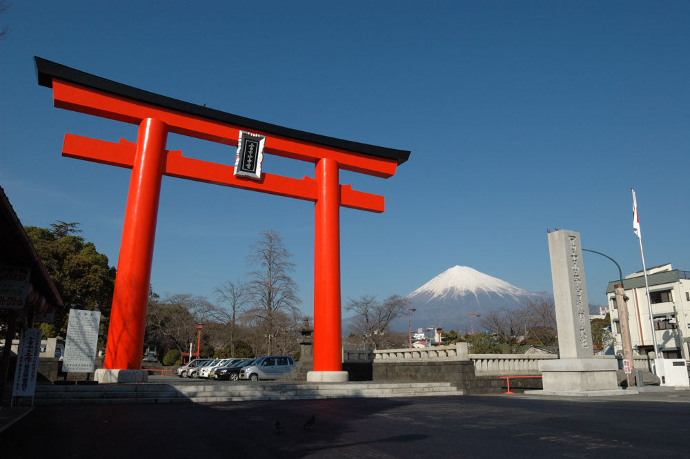 Mt. Fuji & Shizuoka Wasabi Farm Tour