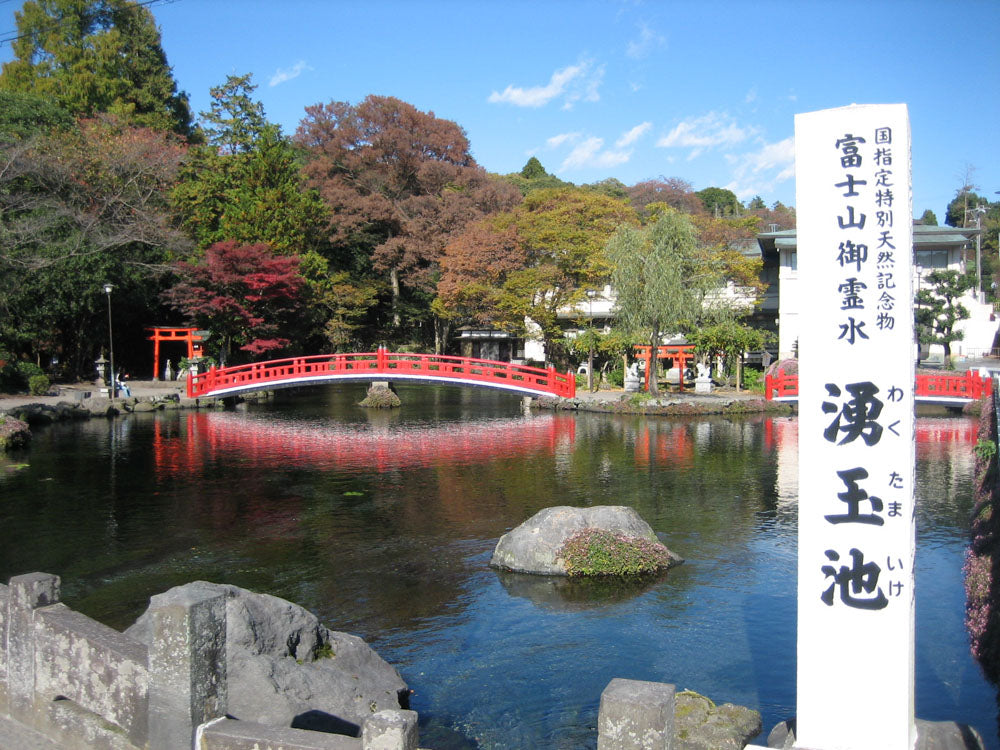Mt. Fuji & Shizuoka Wasabi Farm Tour