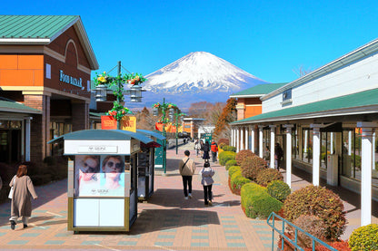 Mt. Fuji & Shizuoka Wasabi Farm Tour