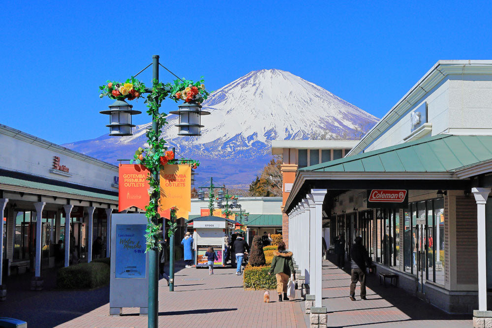 Mt. Fuji & Shizuoka Wasabi Farm Tour