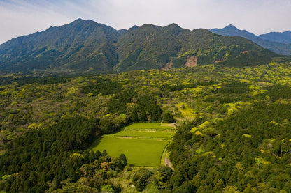 The Wellness Journey of Kyushu