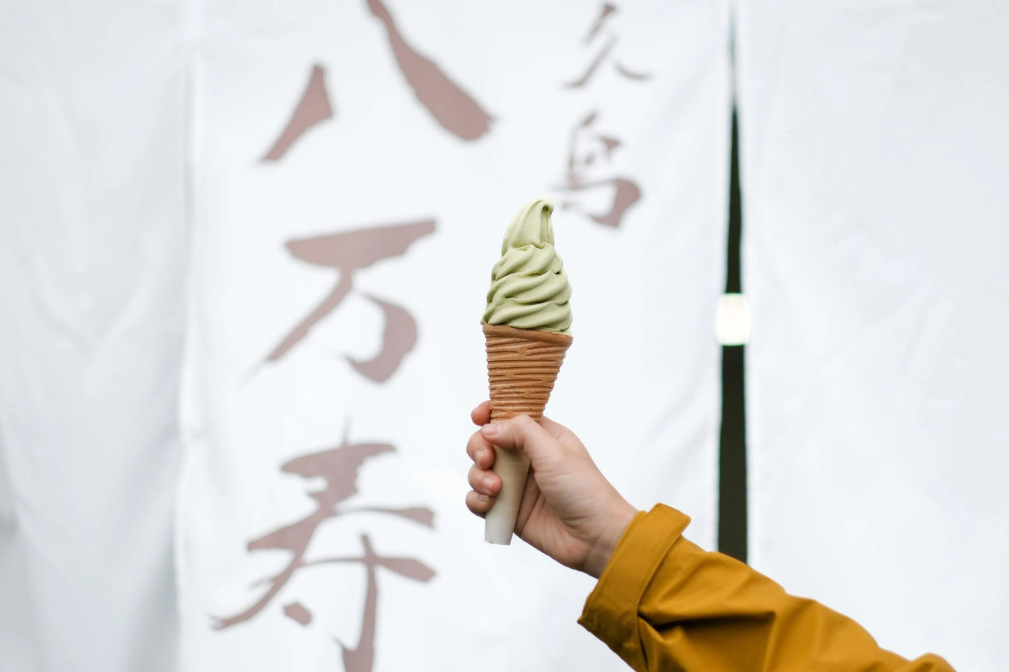 The Wellness Journey of Kyushu