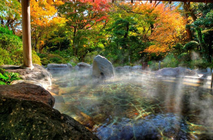Hakone Yumoto Onsen Yoshiike Ryokan