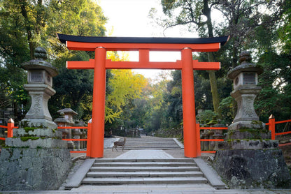 1-Day Kyoto & Nara Tour
