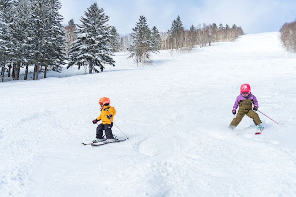 Hoshino Resort TOMAMU 2027