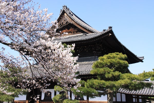 Tea Ceremony Experience & Nishiki Market Walking Tour