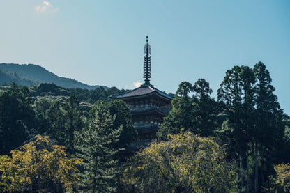 Otobutai 2025