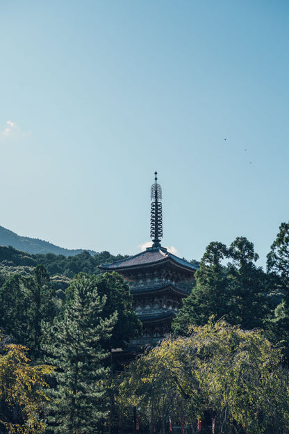 Otobutai 2025