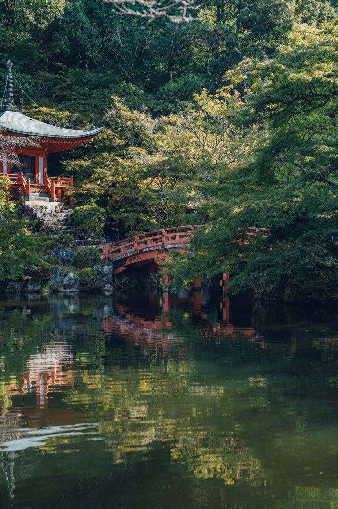 Otobutai 2025