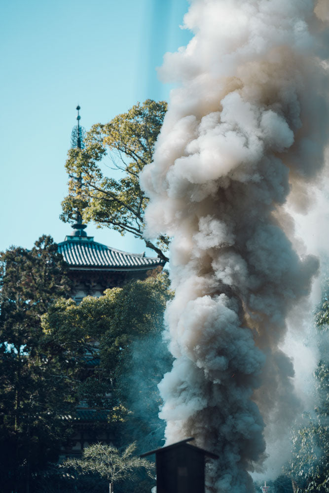 Otobutai 2025