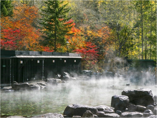Midorinokaze Resort Kitayuzawa