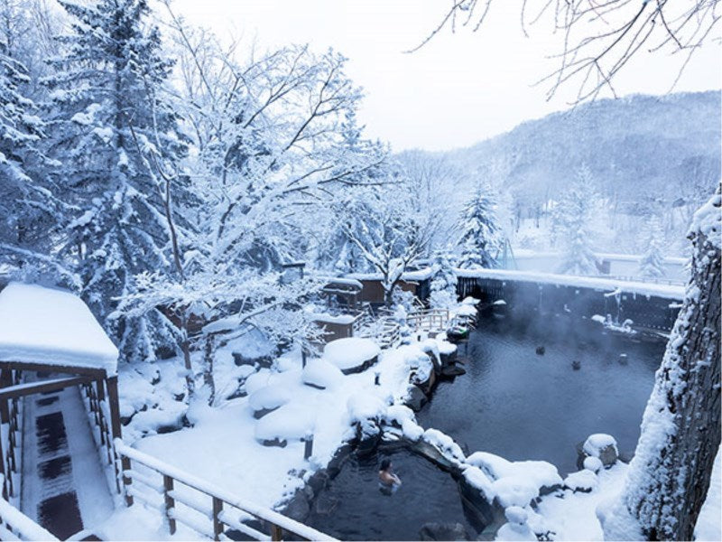 Midorinokaze Resort  Kitayuzawa