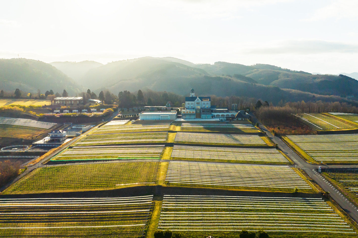 Shizuoka & Tokyo Luxury Escape