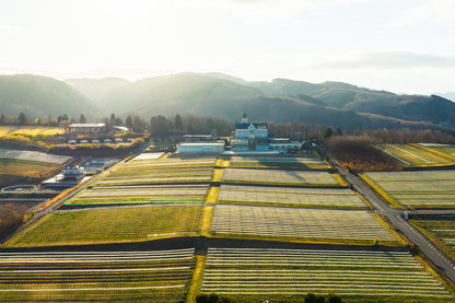 Shizuoka & Tokyo Luxury Escape
