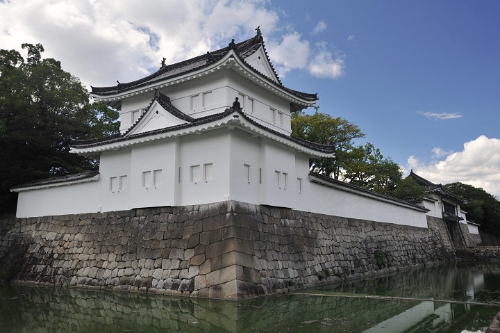 1-Day Kyoto & Nara Tour