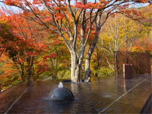 Oirase Keiryu Hotel by Hoshino Resorts