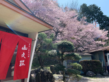 Mt. Fuji & Shizuoka Wasabi Farm Tour