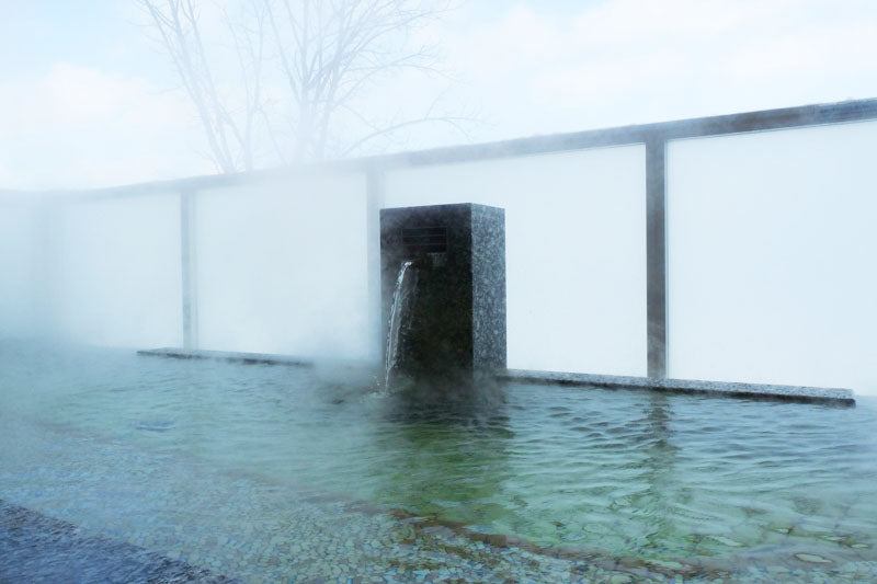 Shin Furano Prince Hotel