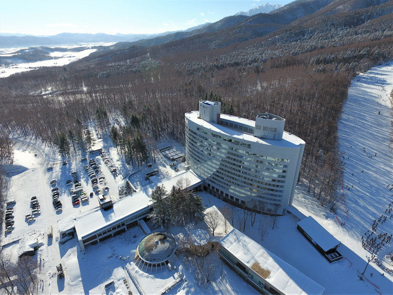 Shin Furano Prince Hotel