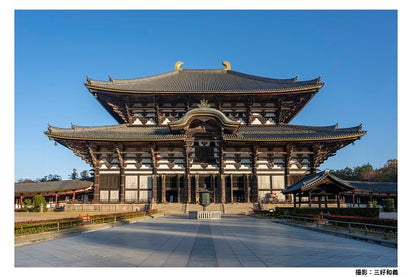 1-Day Kyoto & Nara Tour