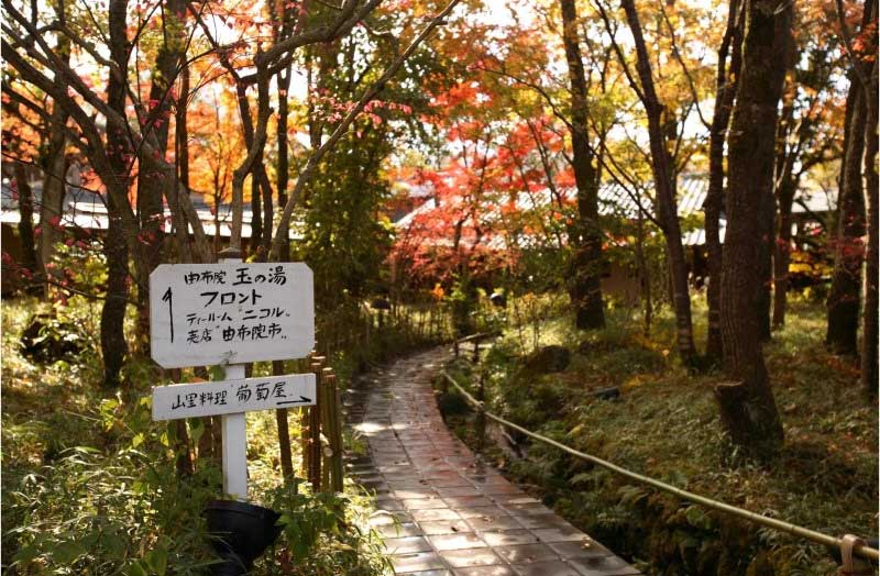 Yufuin Tamanoyu