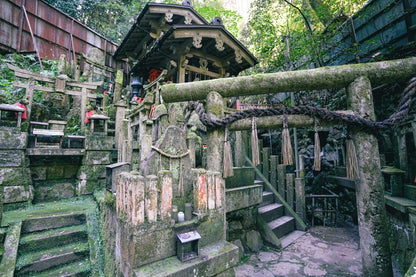 Fushimi Inari Hidden Hiking Tour