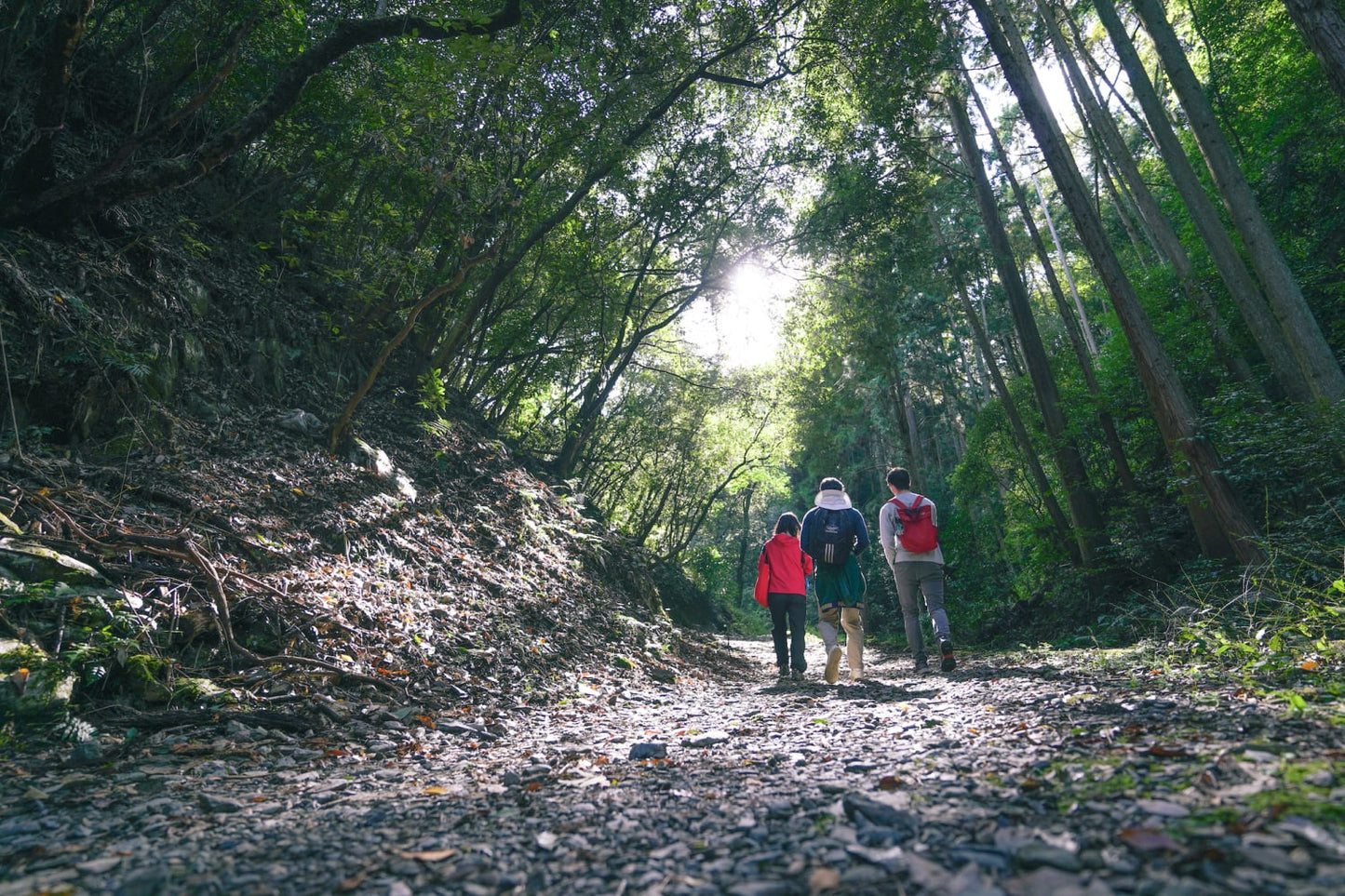 Fushimi Inari Hidden Hiking Tour