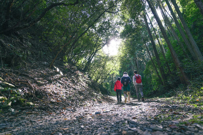 Fushimi Inari Hidden Hiking Tour