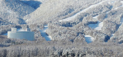 Shin Furano Prince Hotel