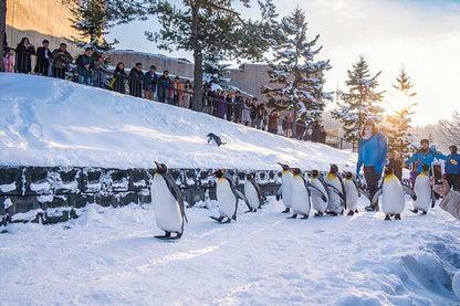 JR Hokkaido - Hokkaido Rail Pass 5 Days