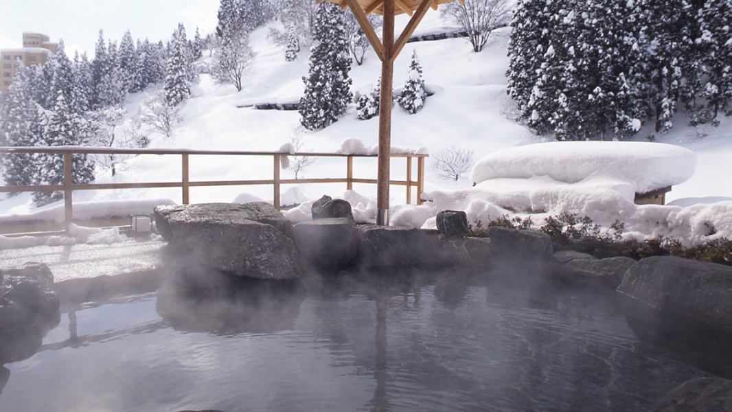 Hotel Futaba Yuzawa