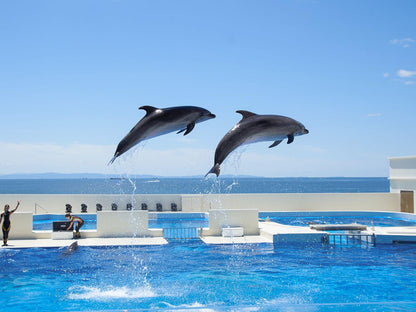 Kobe Ocean Adventure & Osaka Family Fun