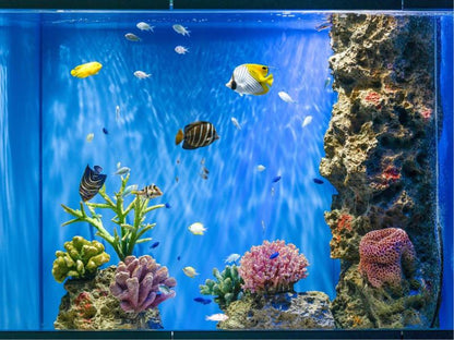 Kobe Ocean Adventure & Osaka Family Fun