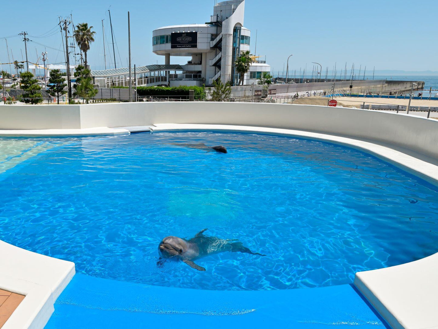 Kobe Ocean Adventure & Osaka Family Fun