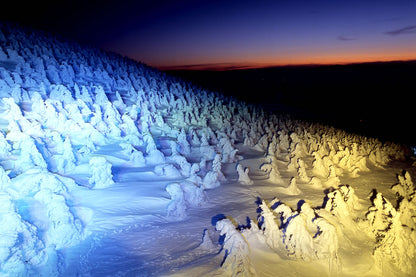 Zao Snow Monster Fantasy Tour with Nightcruiser Snowmobile