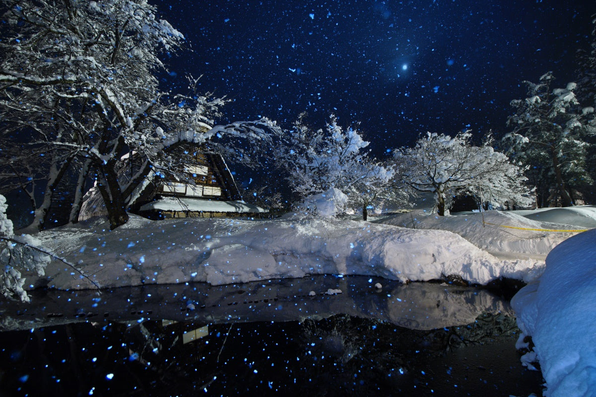 Shirakawa-go Minkaen light up
