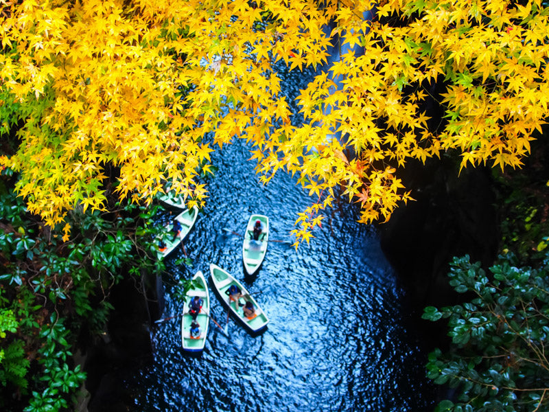 Japan's Land of Myths: Takachiho Private Tour