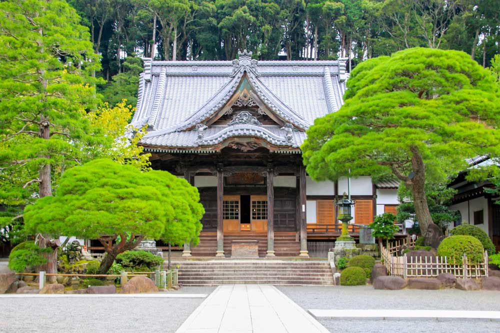 Shizuoka & Tokyo Luxury Escape