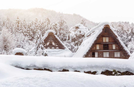 Takayama-Hokuriku Area Tourist Pass