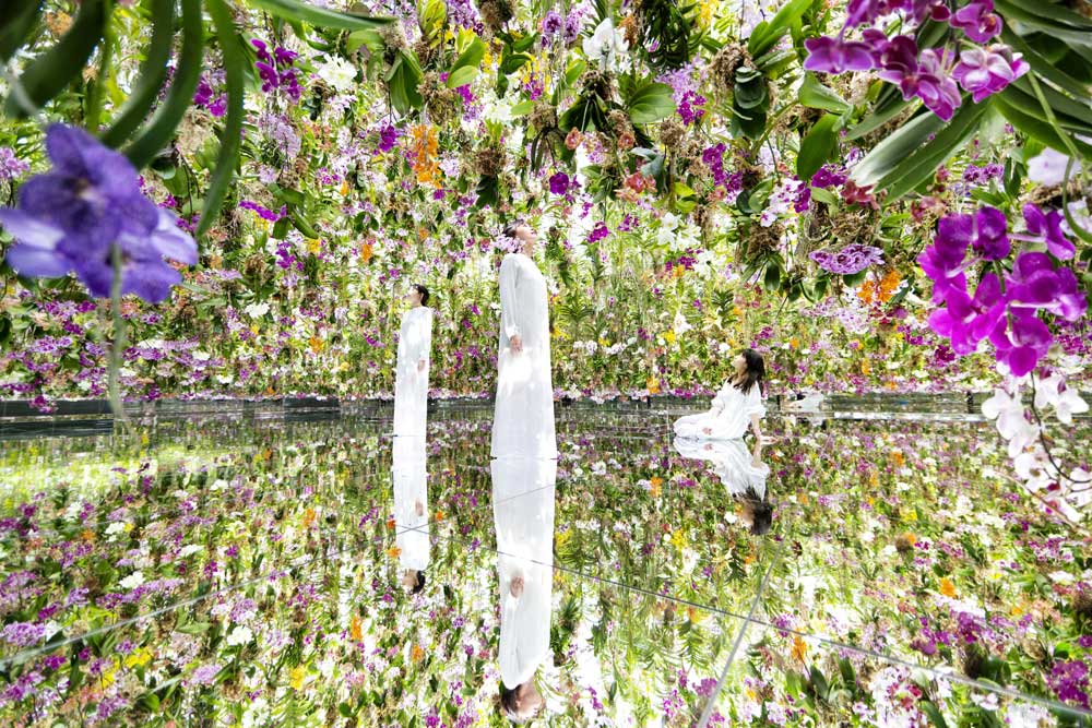 Shizuoka & Tokyo Luxury Escape
