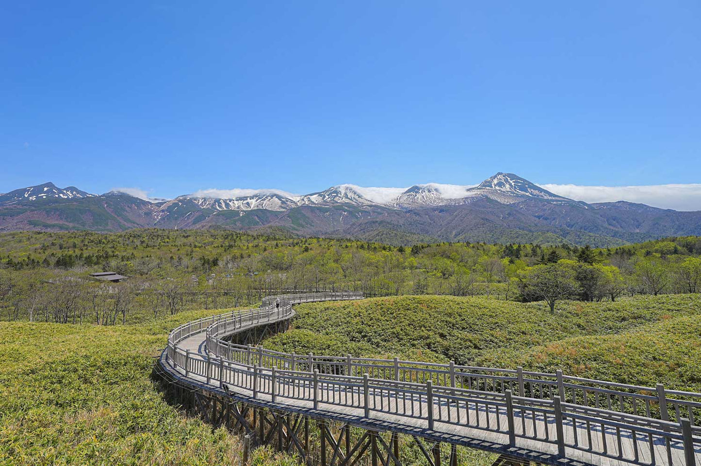1-Day World Natural Heritage Shiretoko Adventure Tour