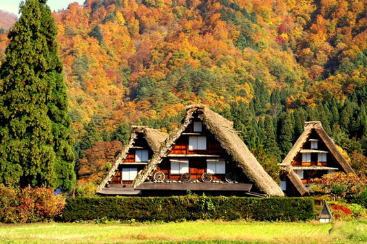 Early Autumn in Central Japan