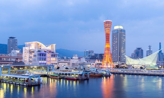 Kansai Mini Pass 3 Days