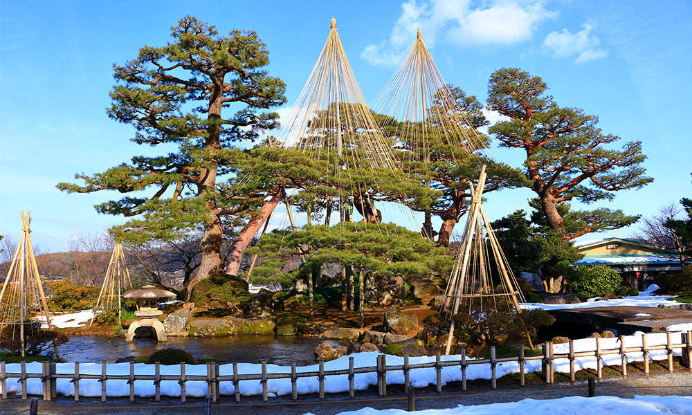 JR West All Area Pass 7 Days